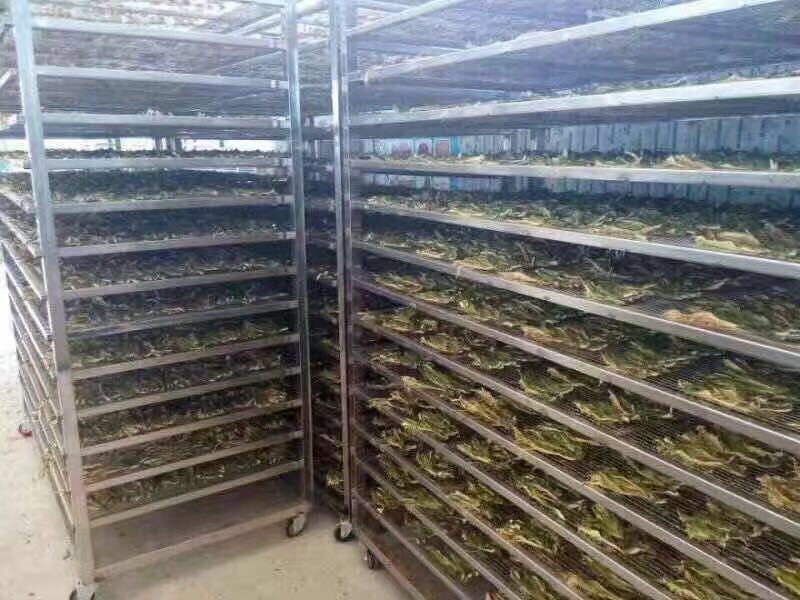 تأجير معدات التجفيف