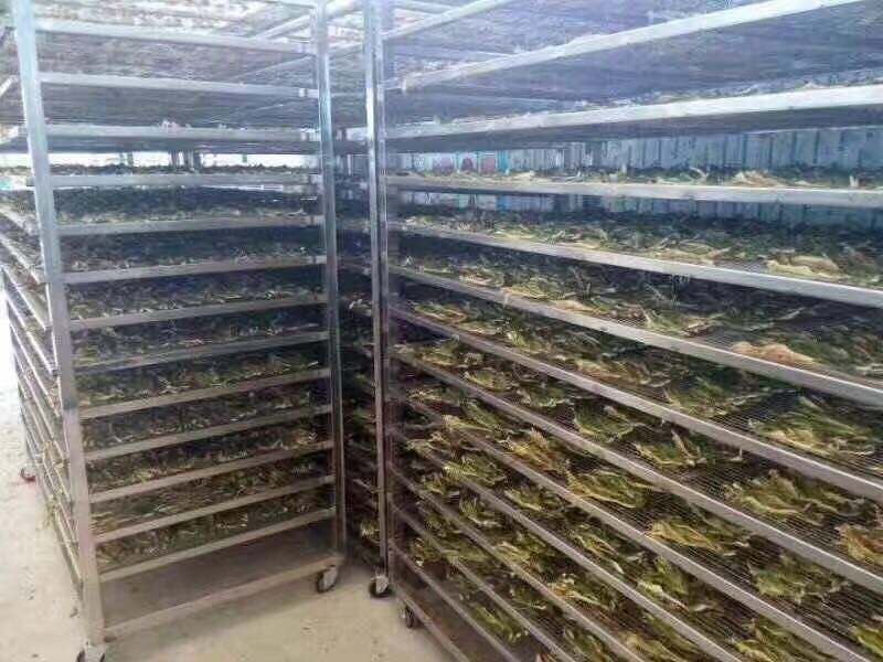 أنظمة التجفيف